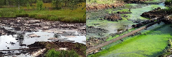 рекультивация земель, загрязненных нефтью и нефтепродуктами
